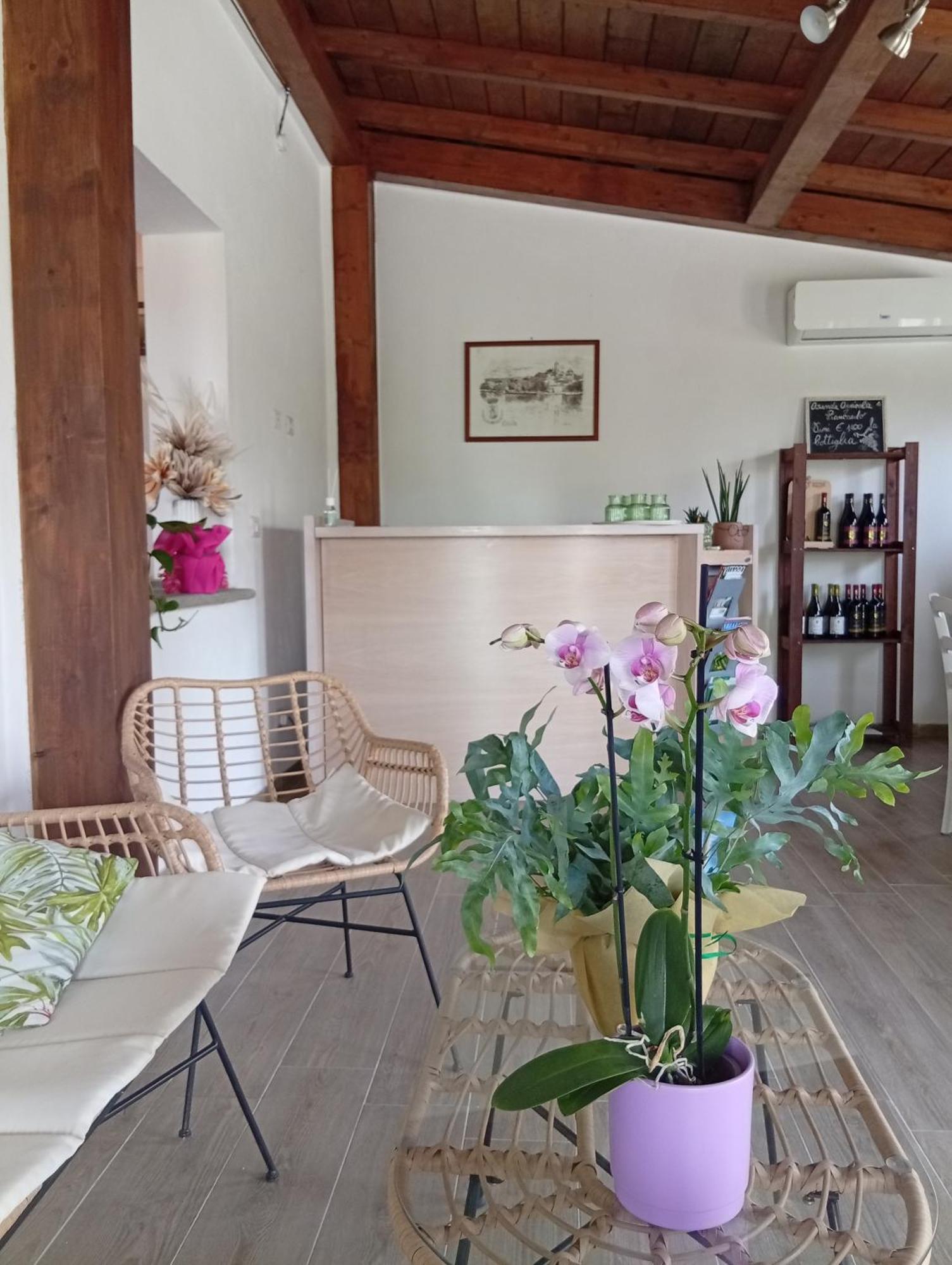 Santa Maria Séjour à la ferme