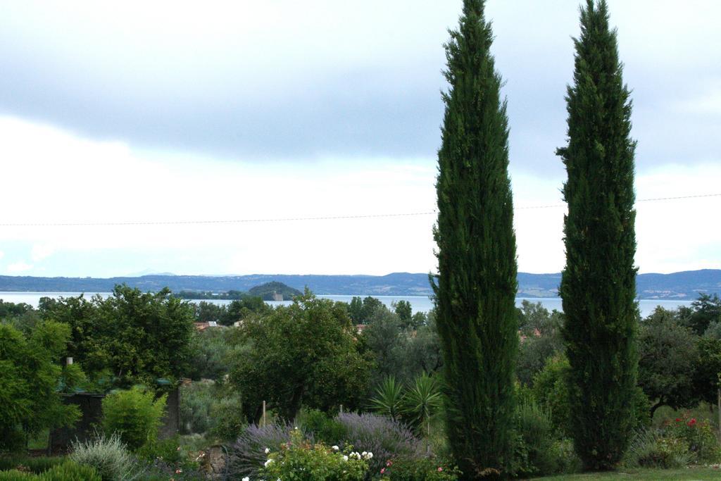 Santa Maria * Marta